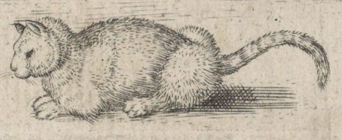 Grabado de Johannes Liefrinck apud Pieter Huys